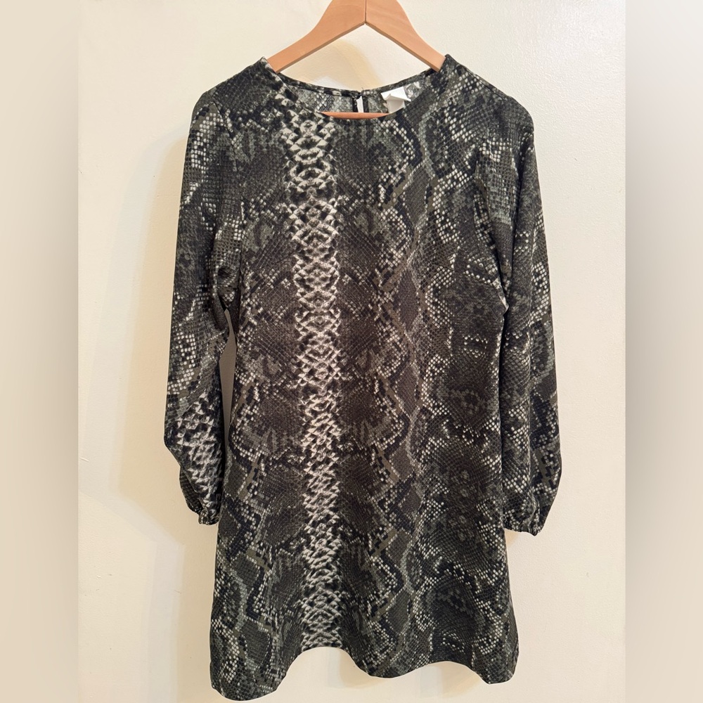 H&M Lizard Print Dress